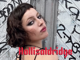 Hollisaldridge