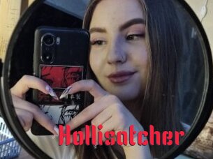 Hollisatcher