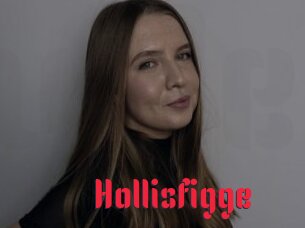 Hollisfigge