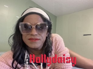 Hollydaisy