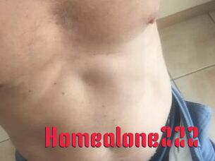 Homealone222