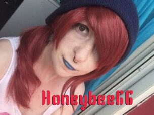 Honeybee66