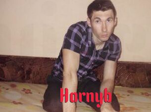 Hornyb