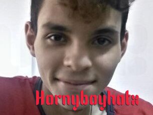 Hornyboyhotx