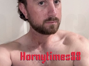 Hornytimes88