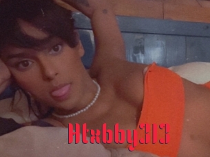 Htxbby313