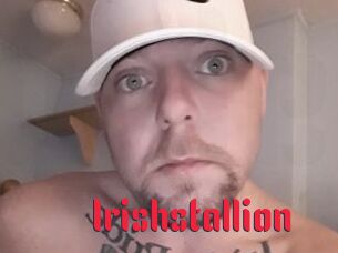 Irishstallion