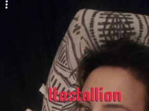 Itastallion