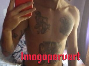 Imagopervert