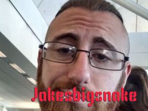 Jakesbigsnake