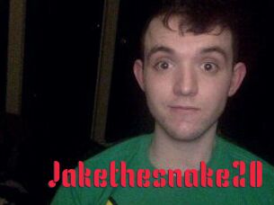 Jakethesnake20