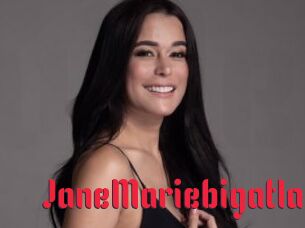JaneMariebigatla