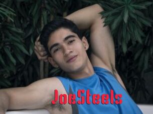 JoeSteels