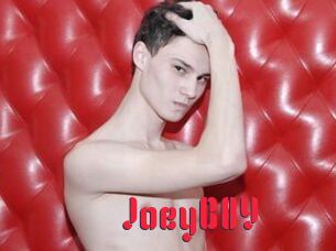JoeyB0Y