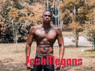JoshMegans