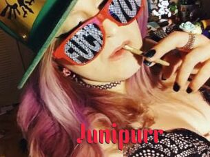 Junipurr