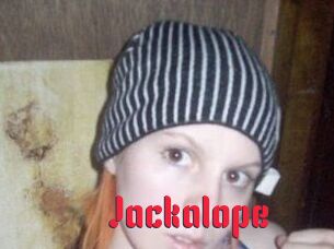 Jackalope