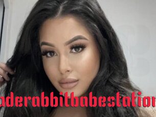 Jaderabbitbabestation