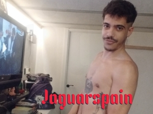Jaguarspain