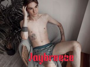 Jaybreeze