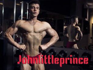 Johnlittleprince