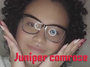 Juniper_camrose
