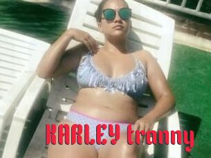 KARLEY_tranny