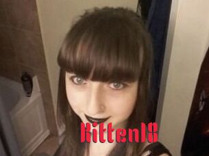 Kitten18