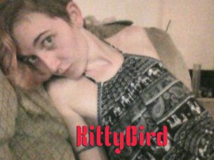 KittyBird