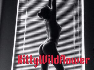KittyWildflower