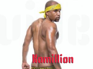 Kamillion