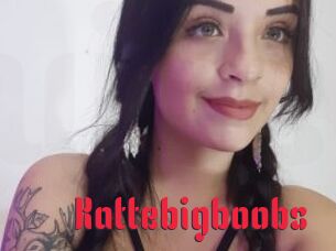 Kattebigboobs
