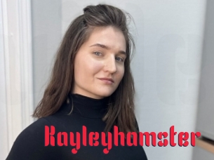 Kayleyhamster