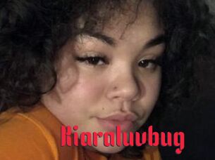 Kiaraluvbug