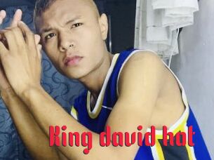King_david_hot