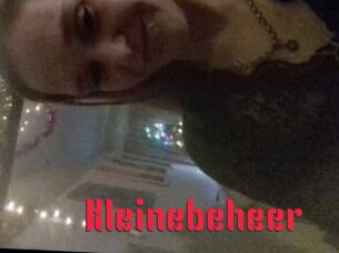 Kleinebeheer