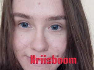 Kriisboom
