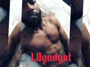 LDgadget