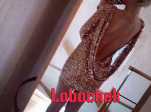 Labochek