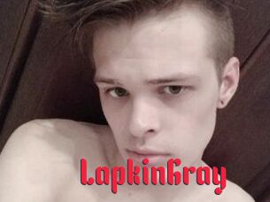 LapkinGray