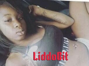 LiddoBit