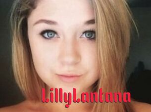 LillyLantana
