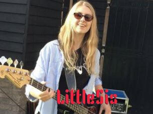 LittleSis