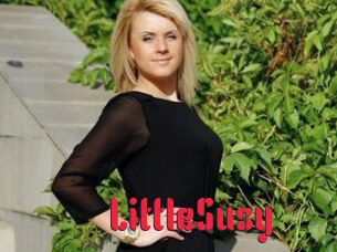 LittleSusy