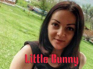 Little_Bunny_