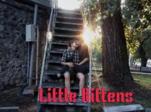 Little_Kittens