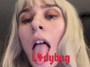 L4dybug