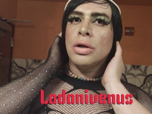 Ladanivenus