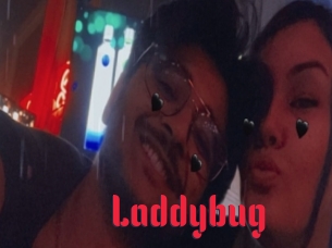 Laddybug