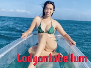 ladyantabellum Video Extrait